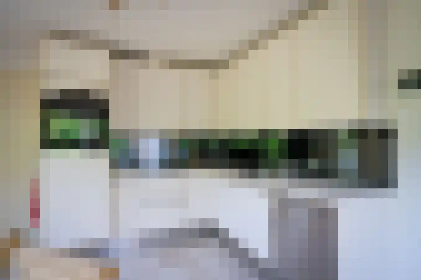 Tongerhof 3 Nuenen thumbnail 18