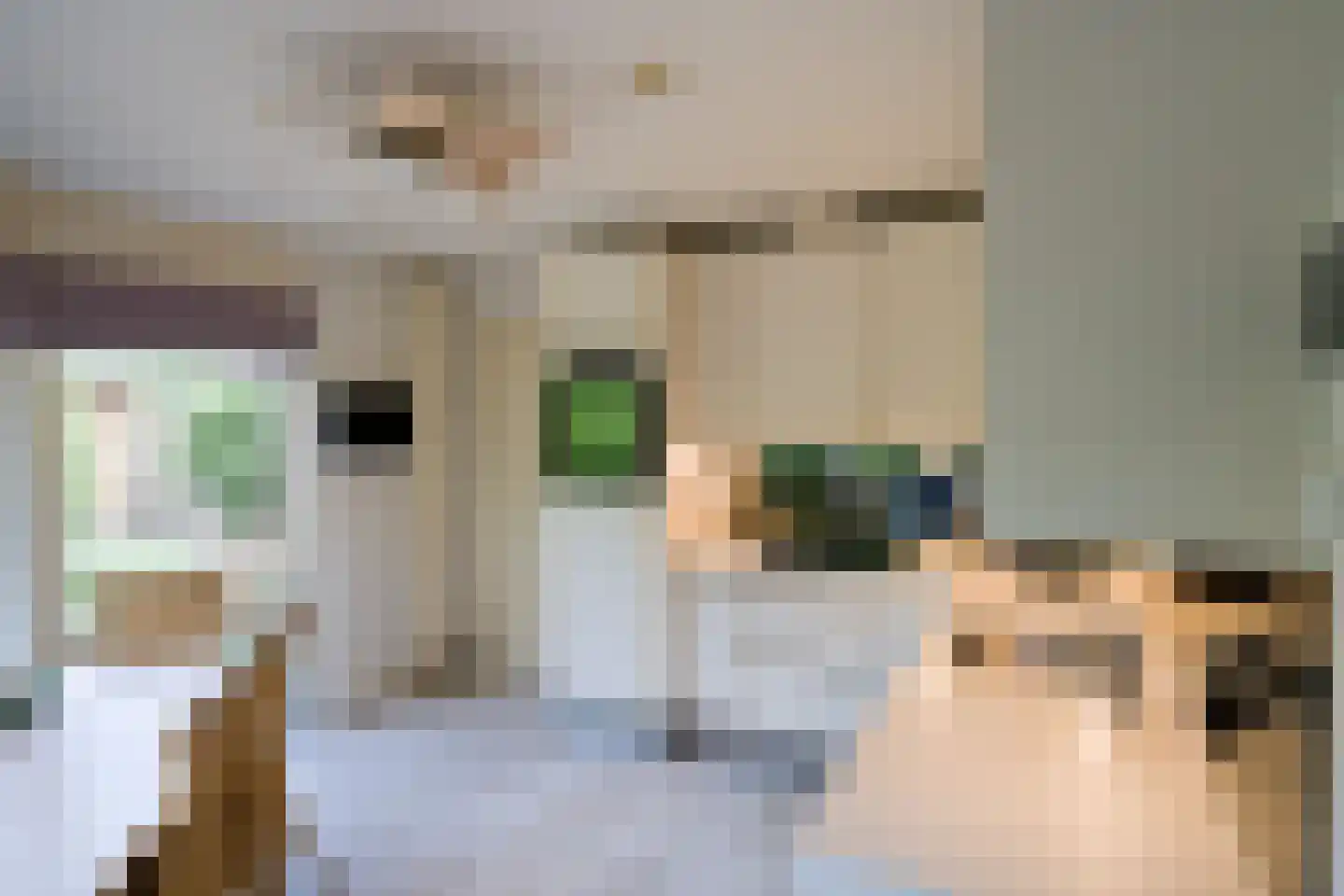Tongerhof 3 Nuenen thumbnail 19