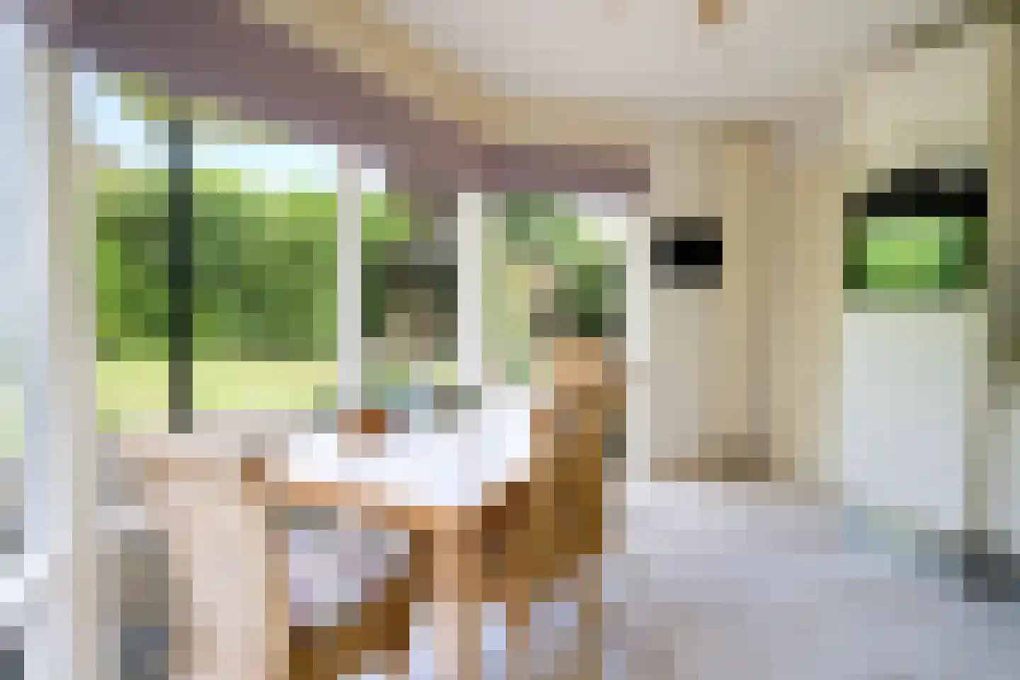 Tongerhof 3 Nuenen thumbnail 20
