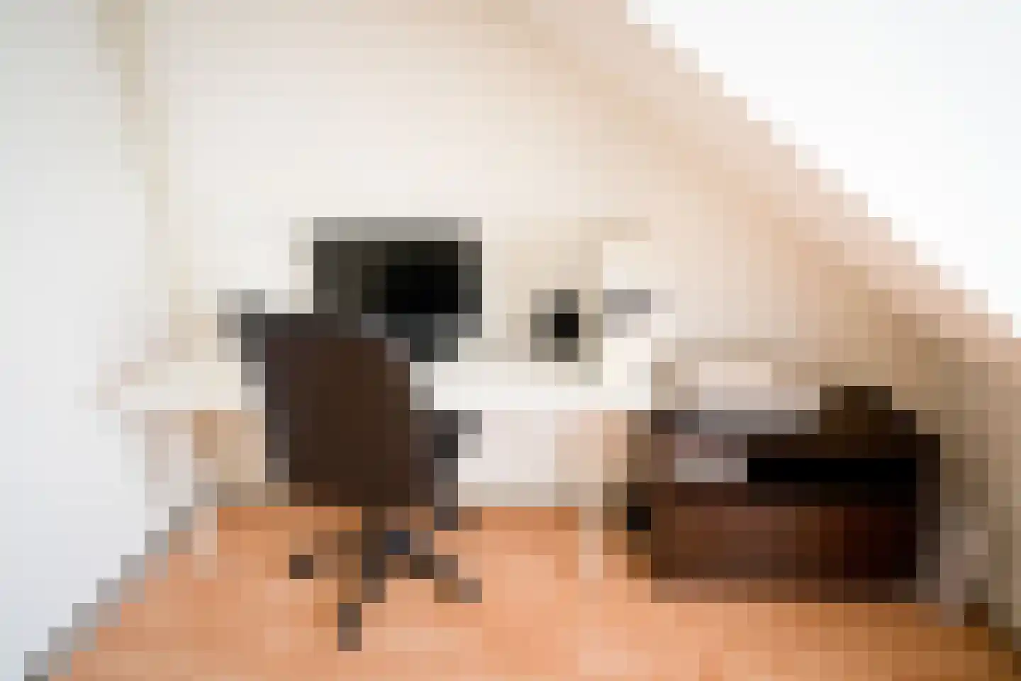 Tongerhof 3 Nuenen thumbnail 49