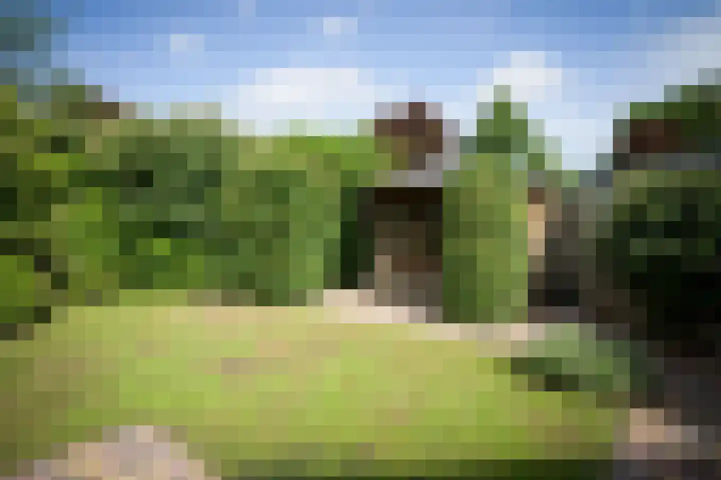 Tongerhof 3 Nuenen thumbnail 5