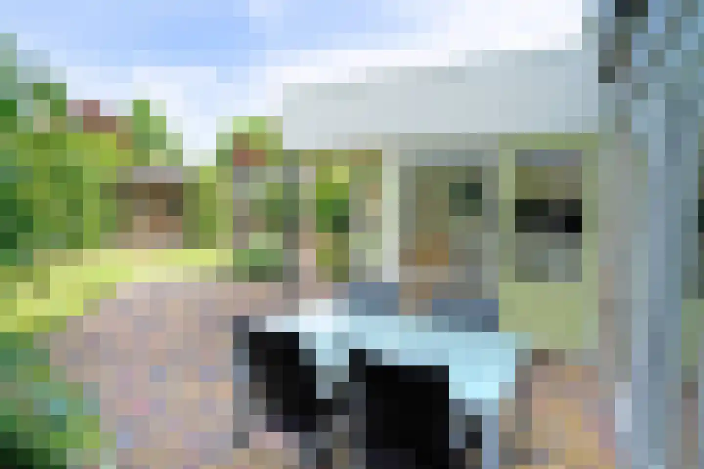 Tongerhof 3 Nuenen thumbnail 58