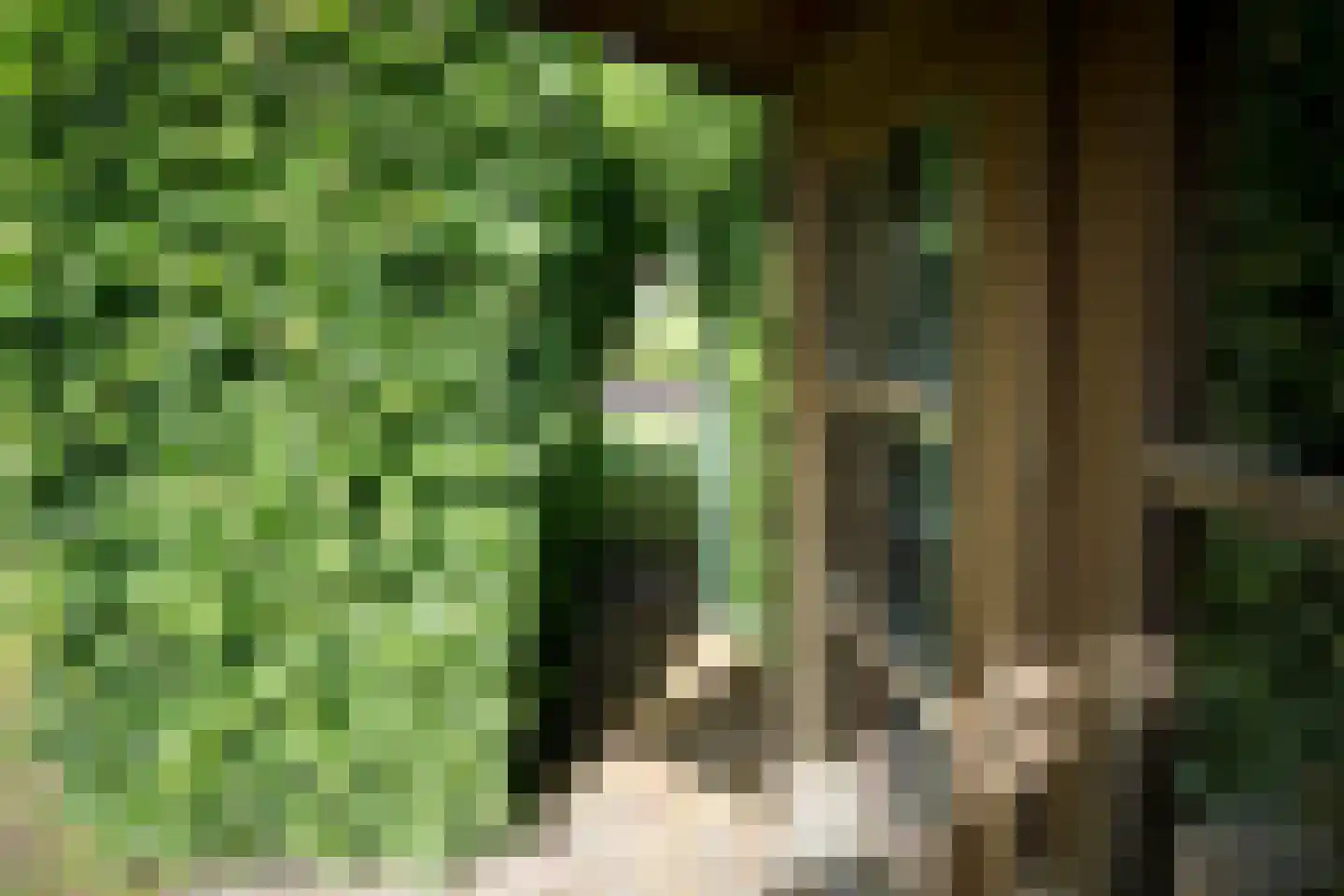 Tongerhof 3 Nuenen thumbnail 6
