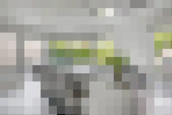 Tongerhof 7 Nuenen thumbnail 19
