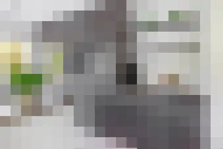 Tongerhof 7 Nuenen thumbnail 20