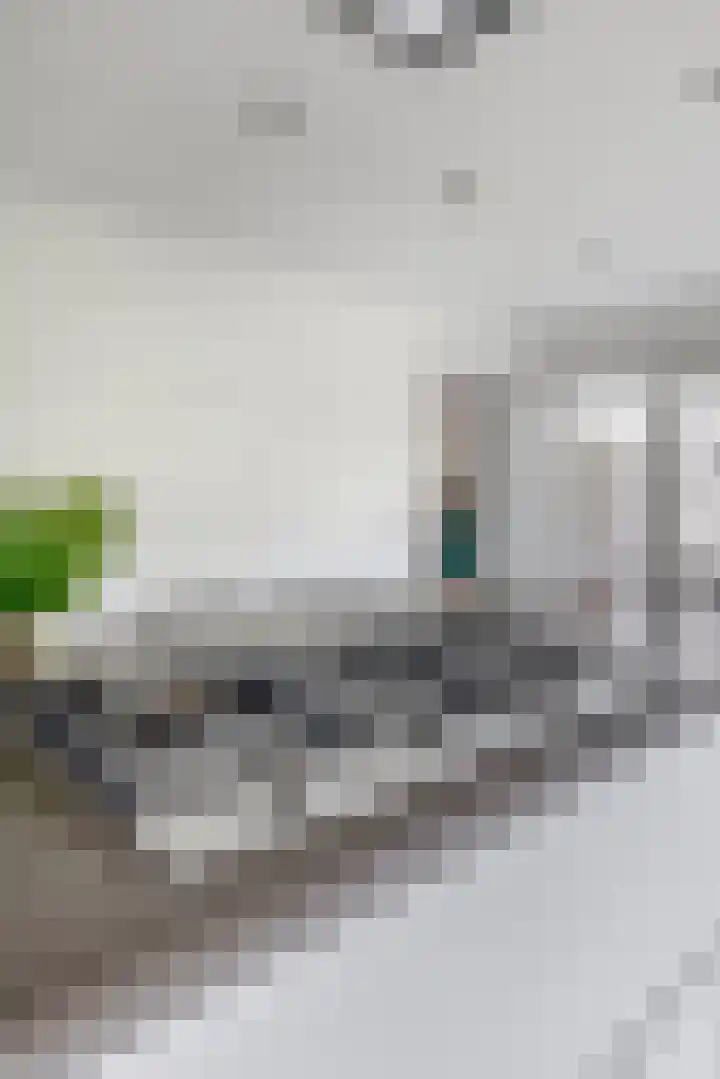 Tongerhof 7 Nuenen thumbnail 21