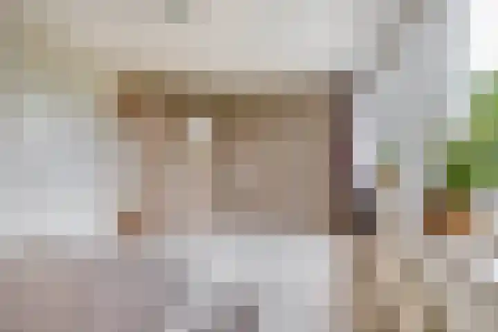 Tongerhof 7 Nuenen thumbnail 29