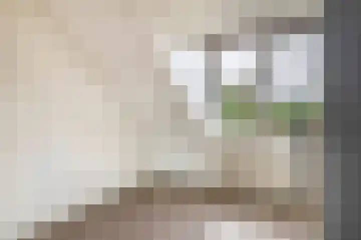 Tongerhof 7 Nuenen thumbnail 30