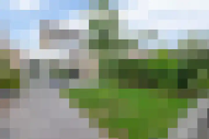 Tongerhof 7 Nuenen thumbnail 44