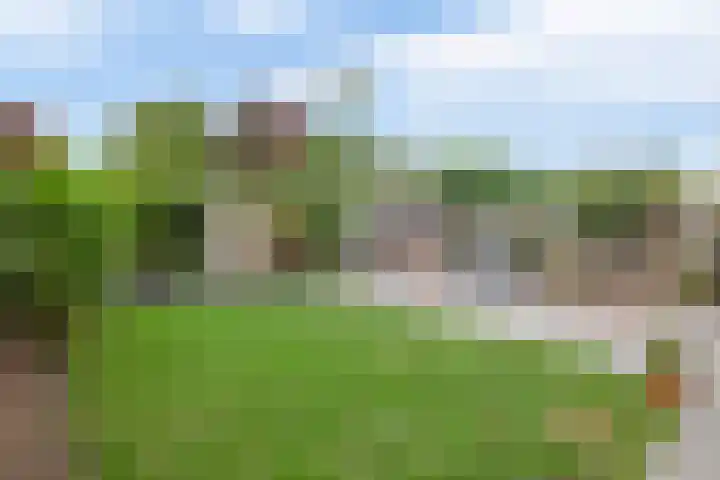 Tongerhof 7 Nuenen thumbnail 45