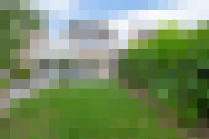 Tongerhof 7 Nuenen thumbnail 48