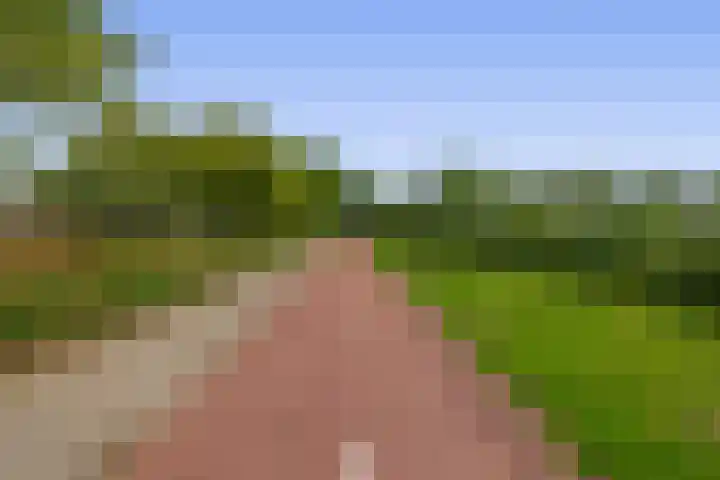 Tongerhof 7 Nuenen thumbnail 49