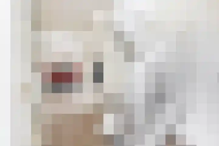 Tongerhof 7 Nuenen thumbnail 8
