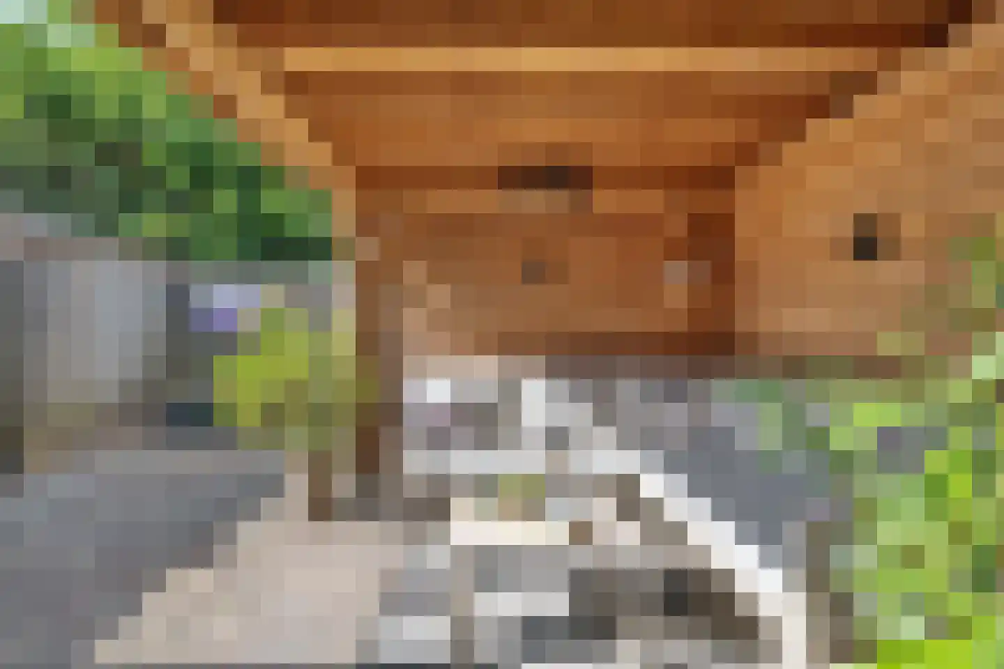 Tongerloodreef 26 Prinsenbeek thumbnail 25