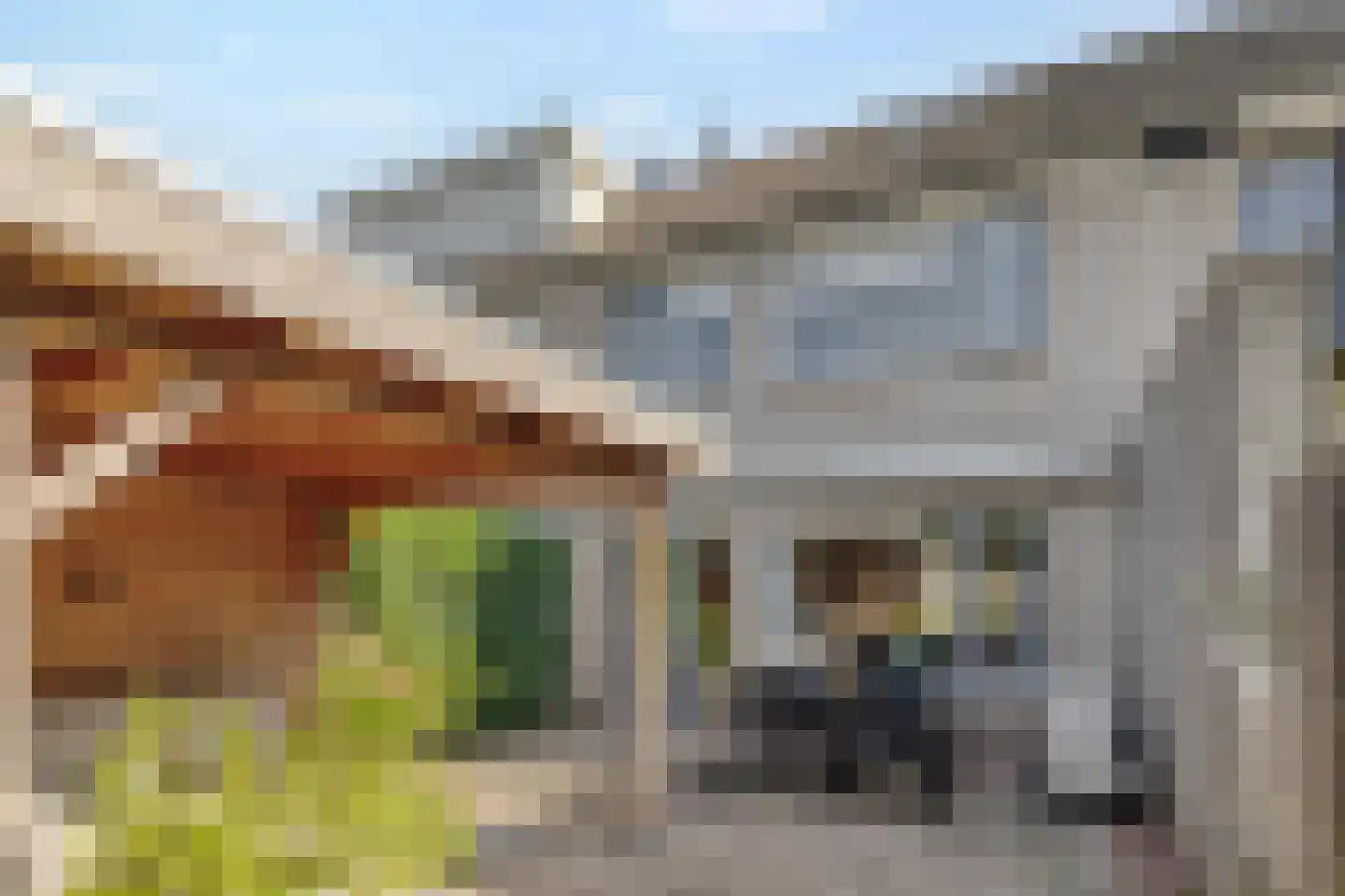 Tongerloodreef 26 Prinsenbeek thumbnail 28