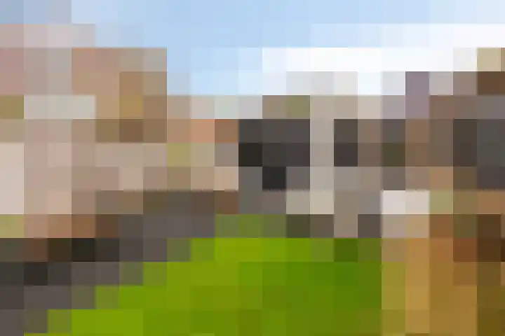 Tongerloodreef 53 Prinsenbeek thumbnail 27