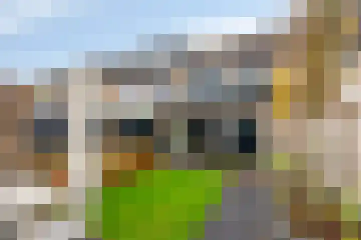 Tongerloodreef 53 Prinsenbeek thumbnail 28