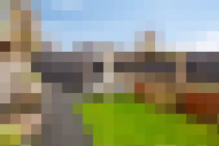Tongerloodreef 53 Prinsenbeek thumbnail 29