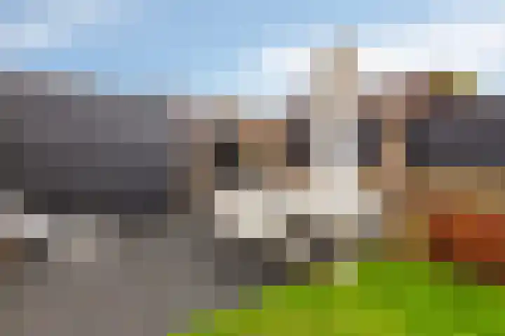 Tongerloodreef 53 Prinsenbeek thumbnail 30