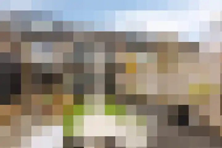 Tongerloodreef 53 Prinsenbeek thumbnail 4