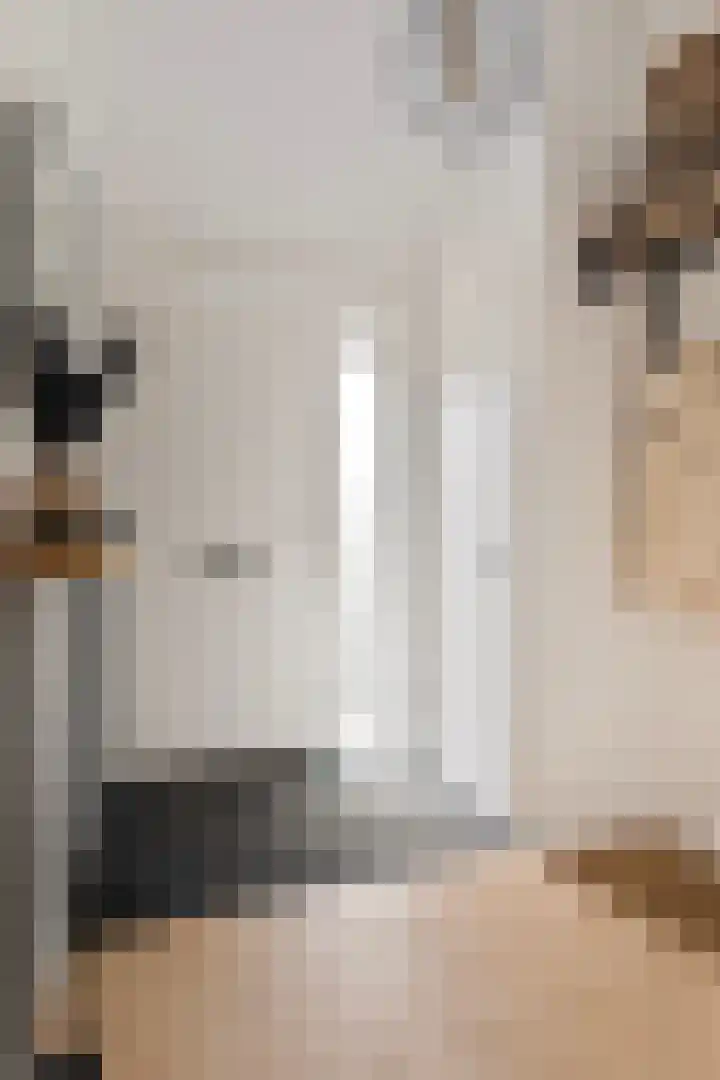 Tongerloodreef 53 Prinsenbeek thumbnail 5