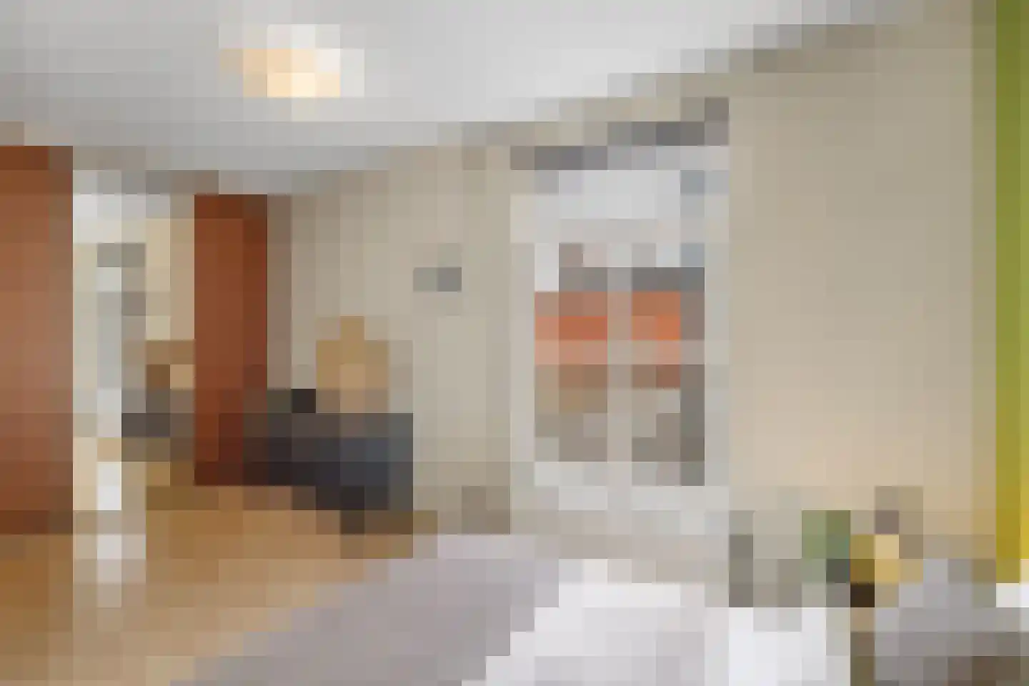 Tongerloplein 19 Roosendaal thumbnail 15