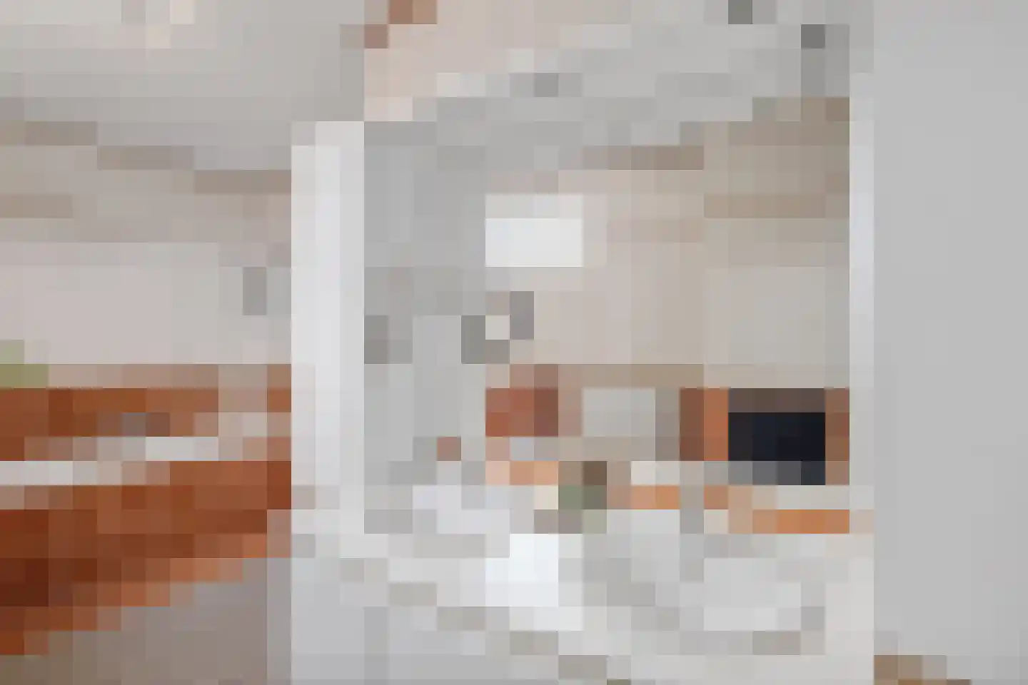 Tongerloplein 19 Roosendaal thumbnail 20