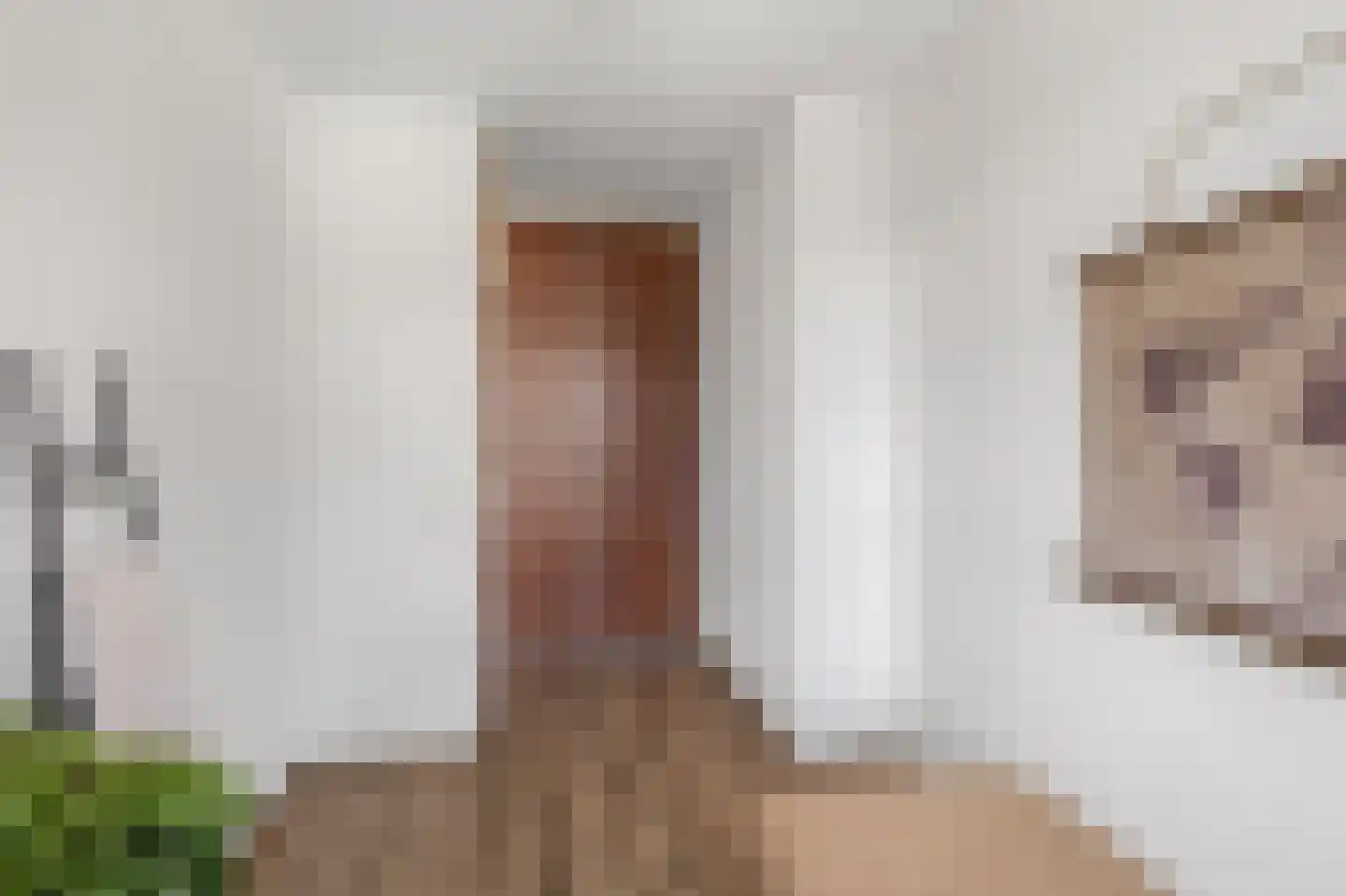 Tongerloplein 19 Roosendaal thumbnail 24