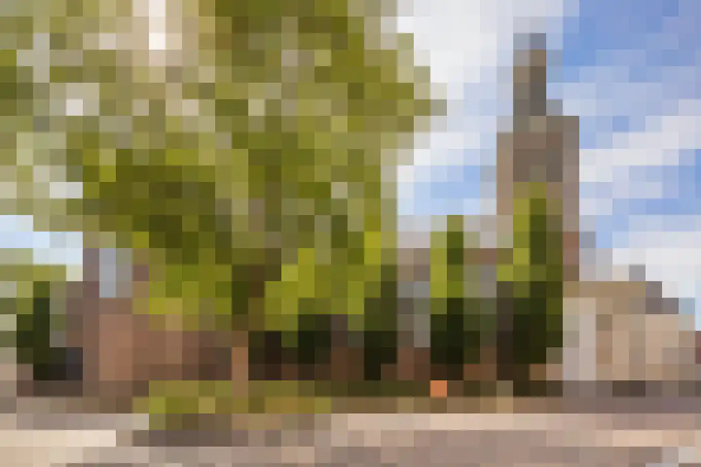 Tongerloplein 19 Roosendaal thumbnail 40