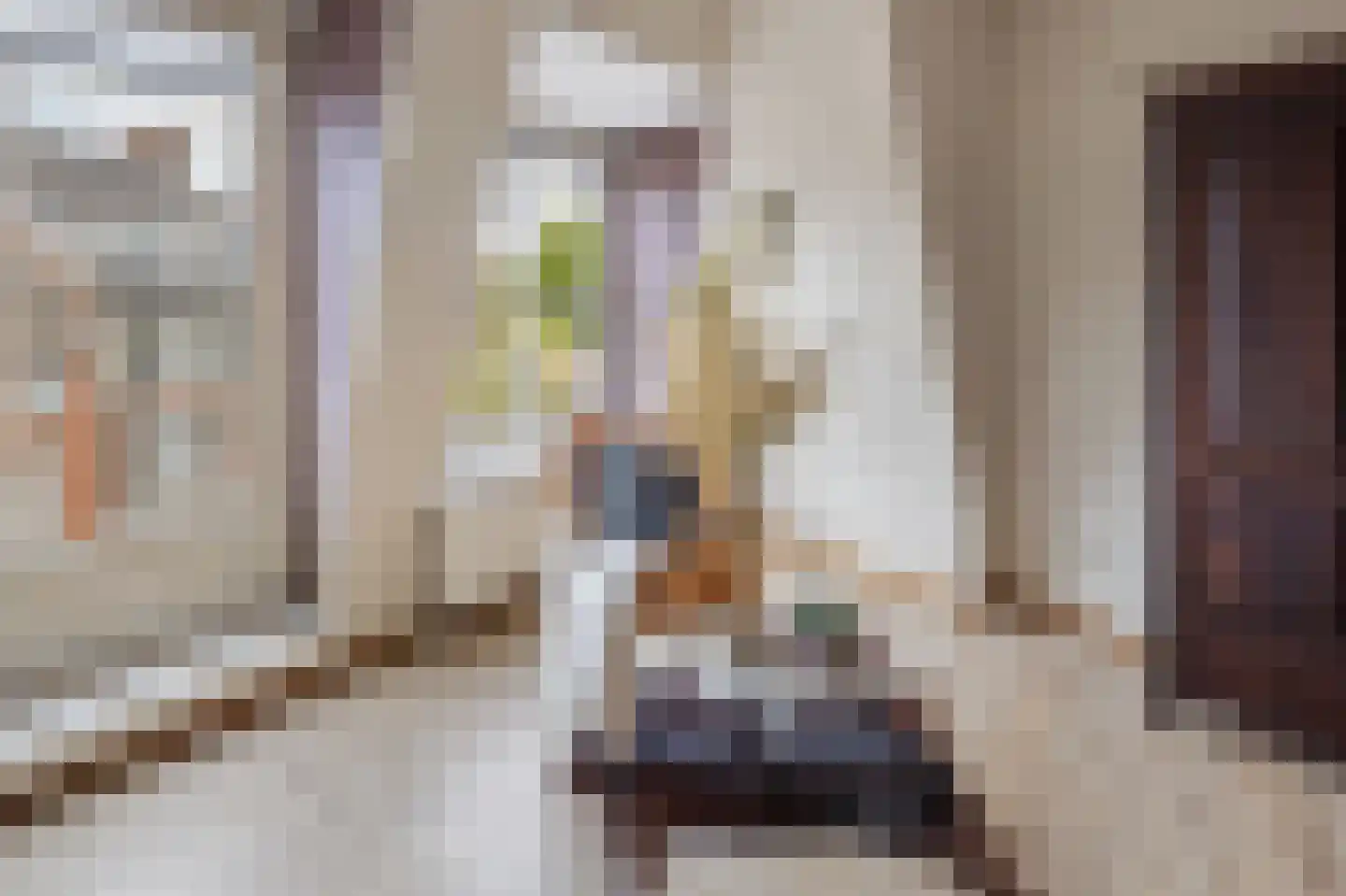 Tongerloplein 19 Roosendaal thumbnail 8