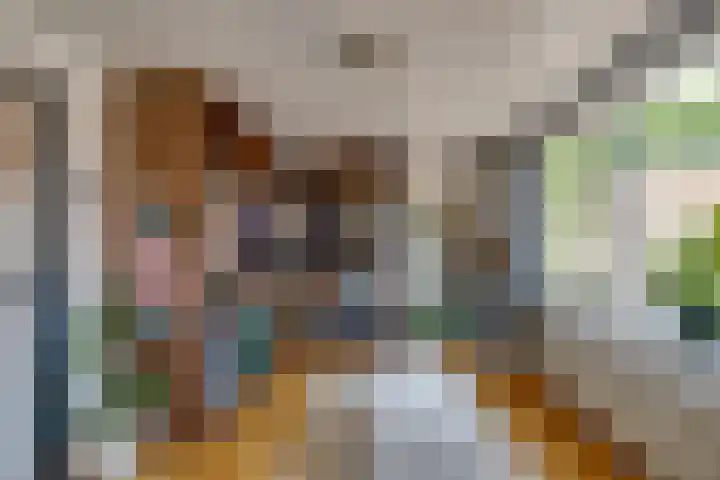 Tongerlose Hoefstraat 112 Tilburg thumbnail 23
