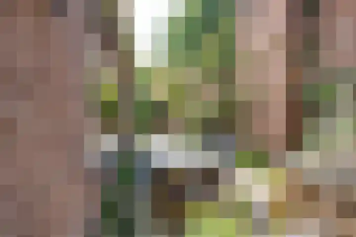 Tongerlose Hoefstraat 112 Tilburg thumbnail 33