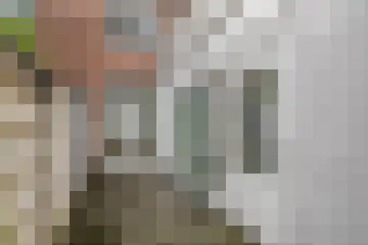Tongerlose Hoefstraat 12 Tilburg thumbnail 26