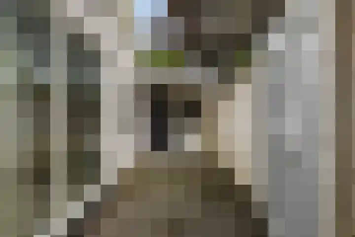 Tongerlose Hoefstraat 12 Tilburg thumbnail 27