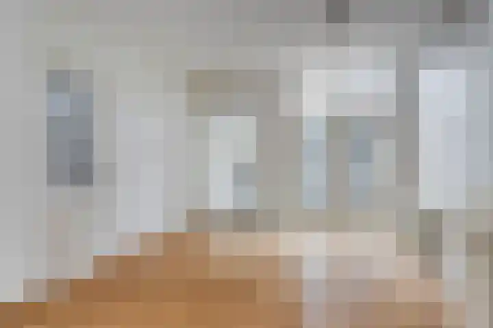 Tongerlose Hoefstraat 12 Tilburg thumbnail 4