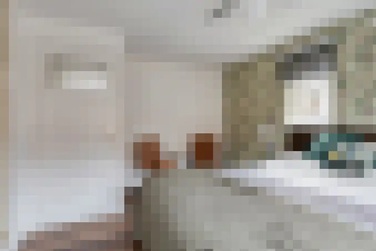 Tongerlose Hoefstraat 125 Tilburg thumbnail 24
