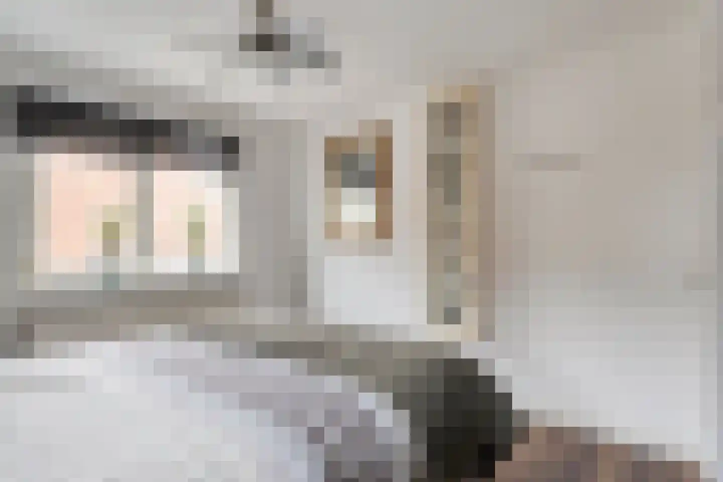 Tongerlose Hoefstraat 125 Tilburg thumbnail 25