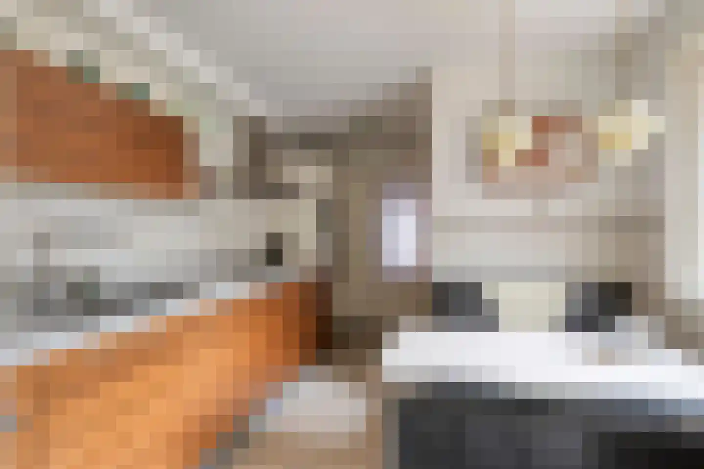 Tongerlose Hoefstraat 125 Tilburg thumbnail 4