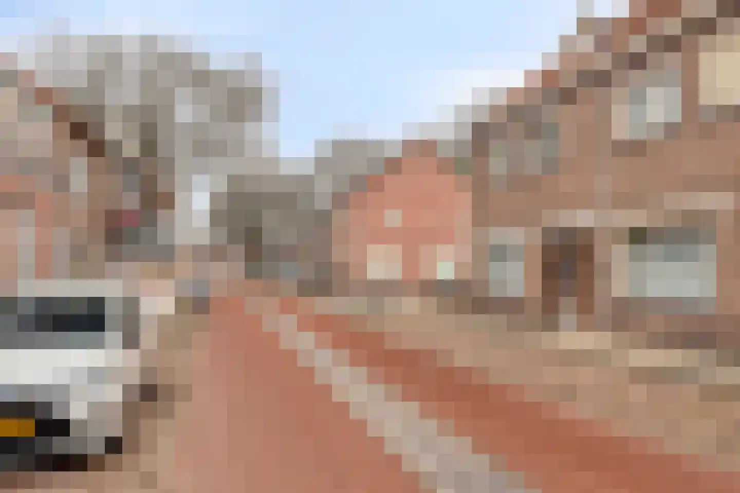 Tongerlose Hoefstraat 125 Tilburg thumbnail 48