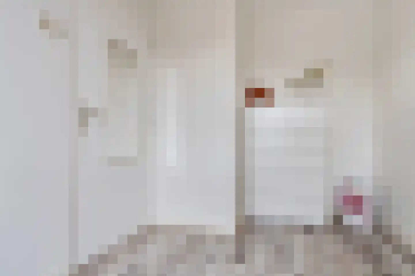 Tongerlose Hoefstraat 15 Tilburg thumbnail 26