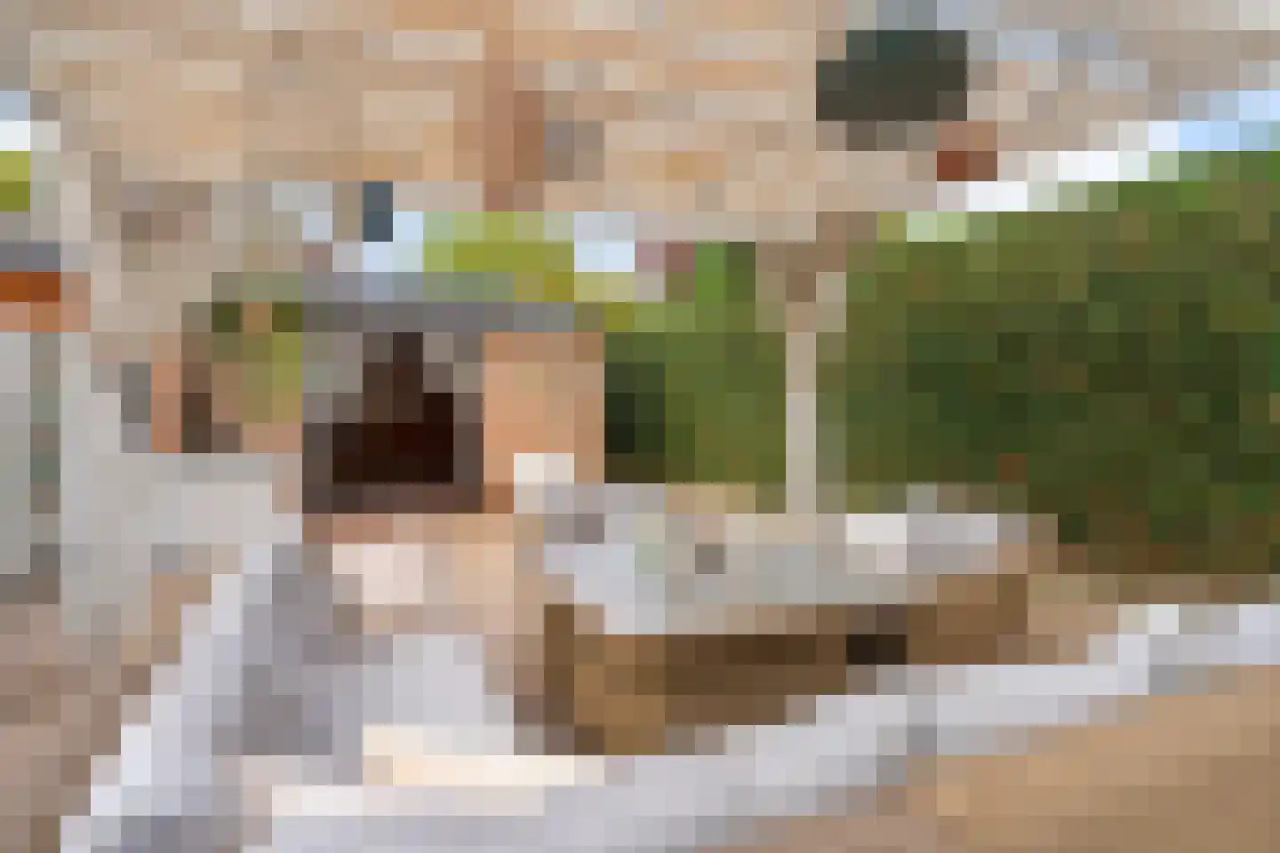 Tongerlose Hoefstraat 15 Tilburg thumbnail 35