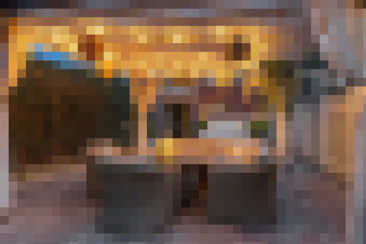 Tongerlose Hoefstraat 15 Tilburg thumbnail 39