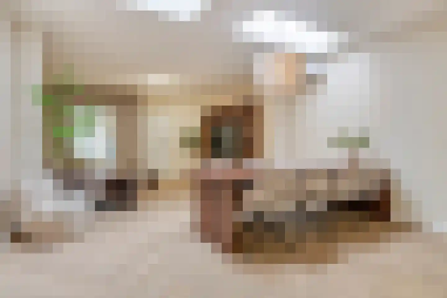 Tongerlose Hoefstraat 15 Tilburg thumbnail 4