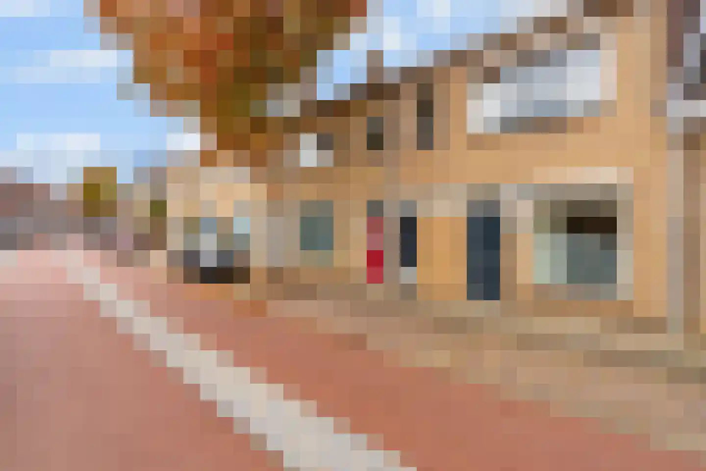 Tongerlose Hoefstraat 15 Tilburg thumbnail 46