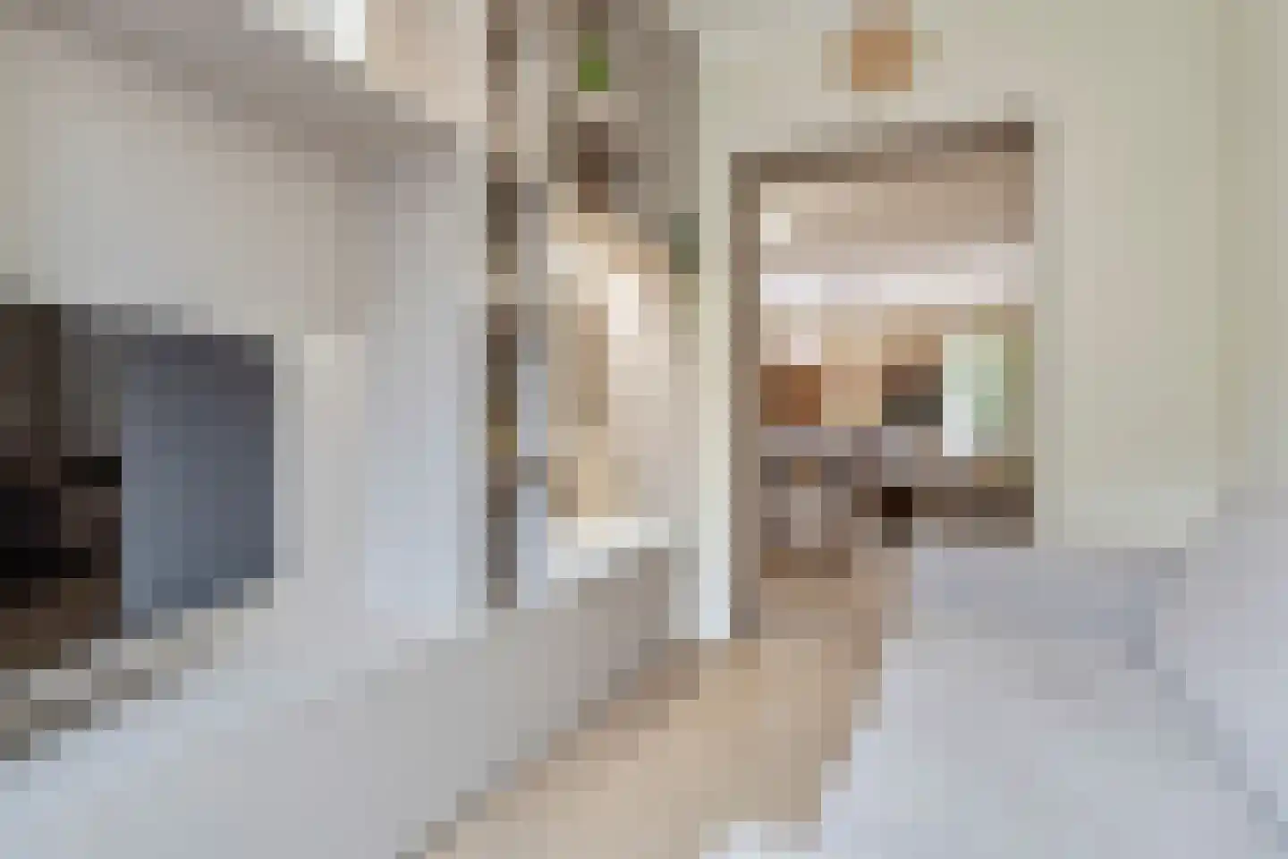 Tongerlose Hoefstraat 15 Tilburg thumbnail 7
