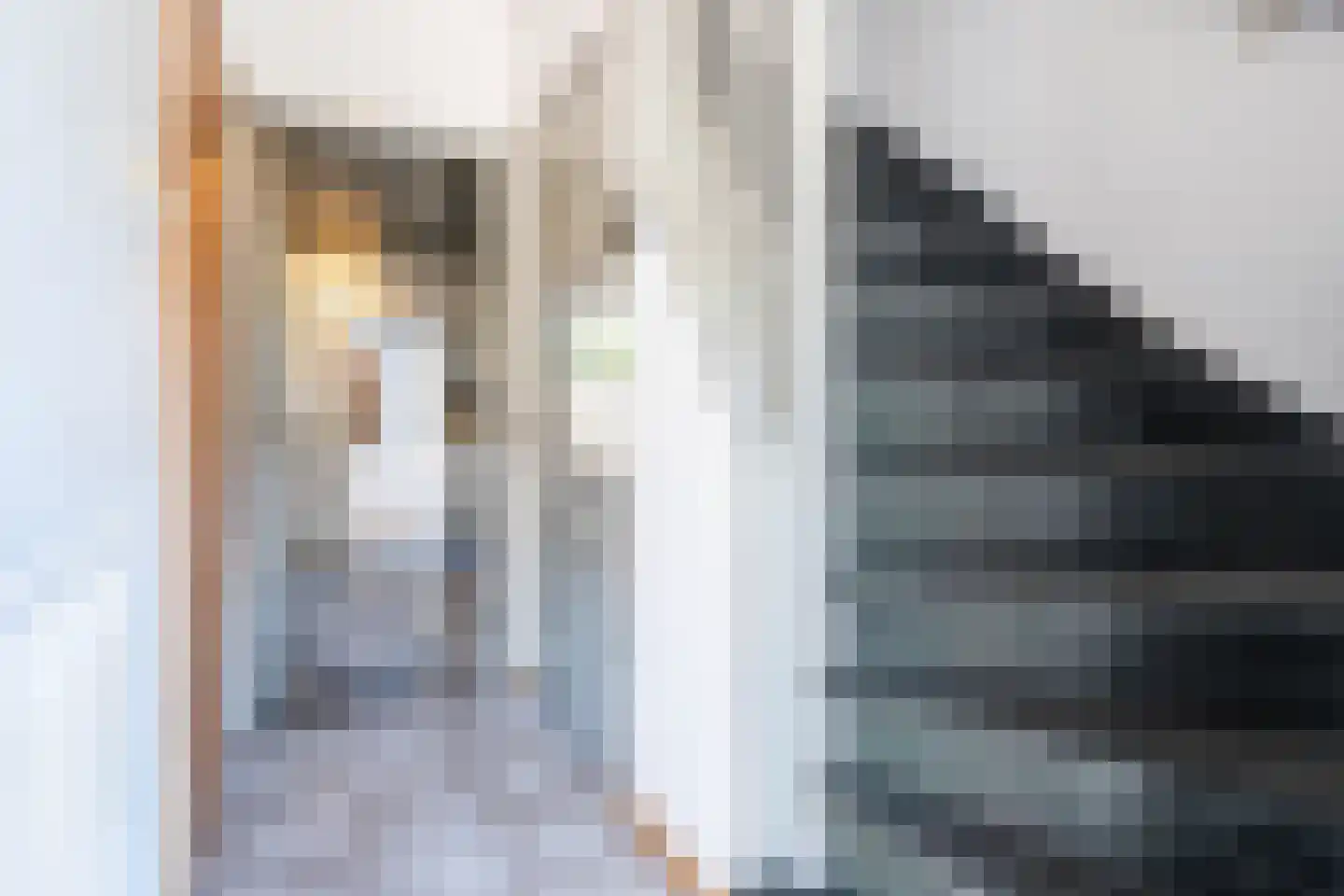 Tongerlose Hoefstraat 87 Tilburg thumbnail 14