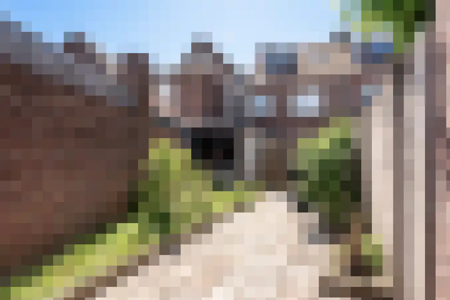 Tongerlose Hoefstraat 87 Tilburg thumbnail 19