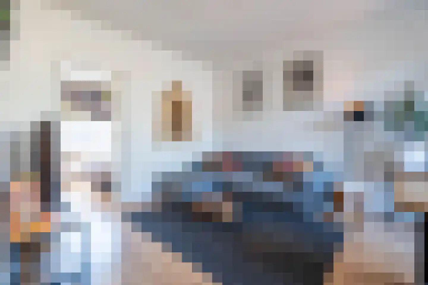 Tongerlose Hoefstraat 87 Tilburg thumbnail 5