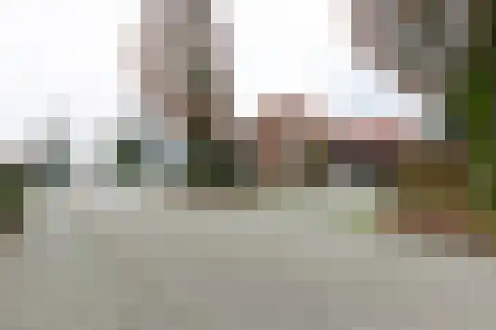 Tongerlosestraat 44 Lichtenvoorde thumbnail 64