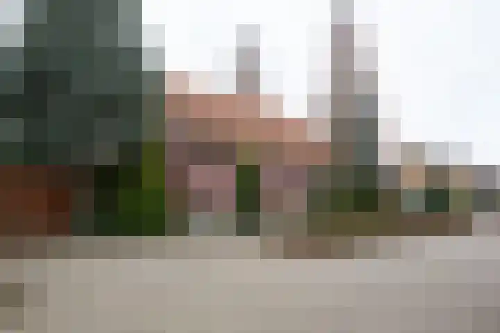 Tongerlosestraat 44 Lichtenvoorde thumbnail 8